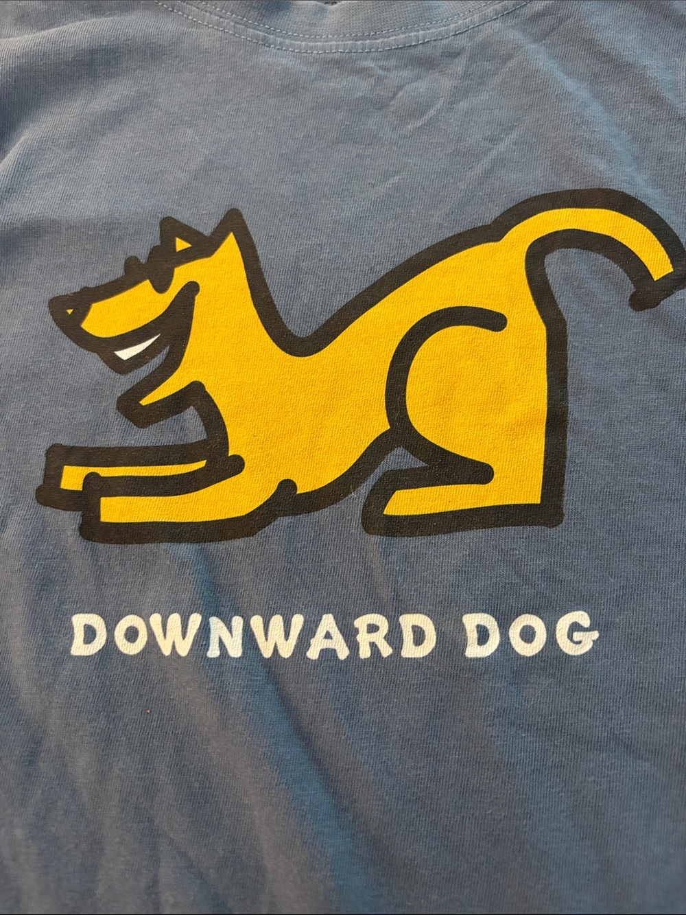 Life Is Good Gray Blue Crusher Tee with dog logo - Picture 5 of 5
